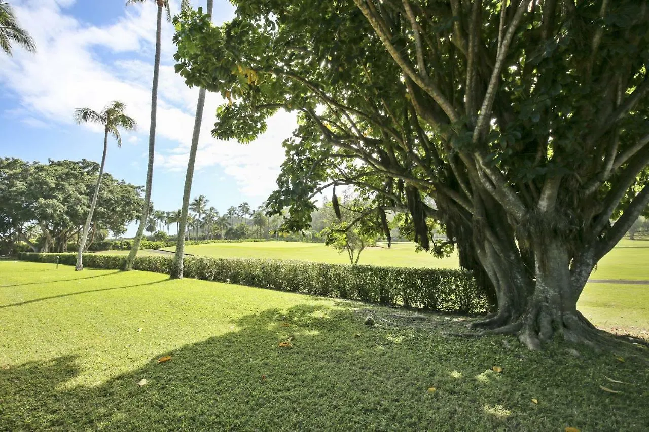 Anthurium Condo Kahuku