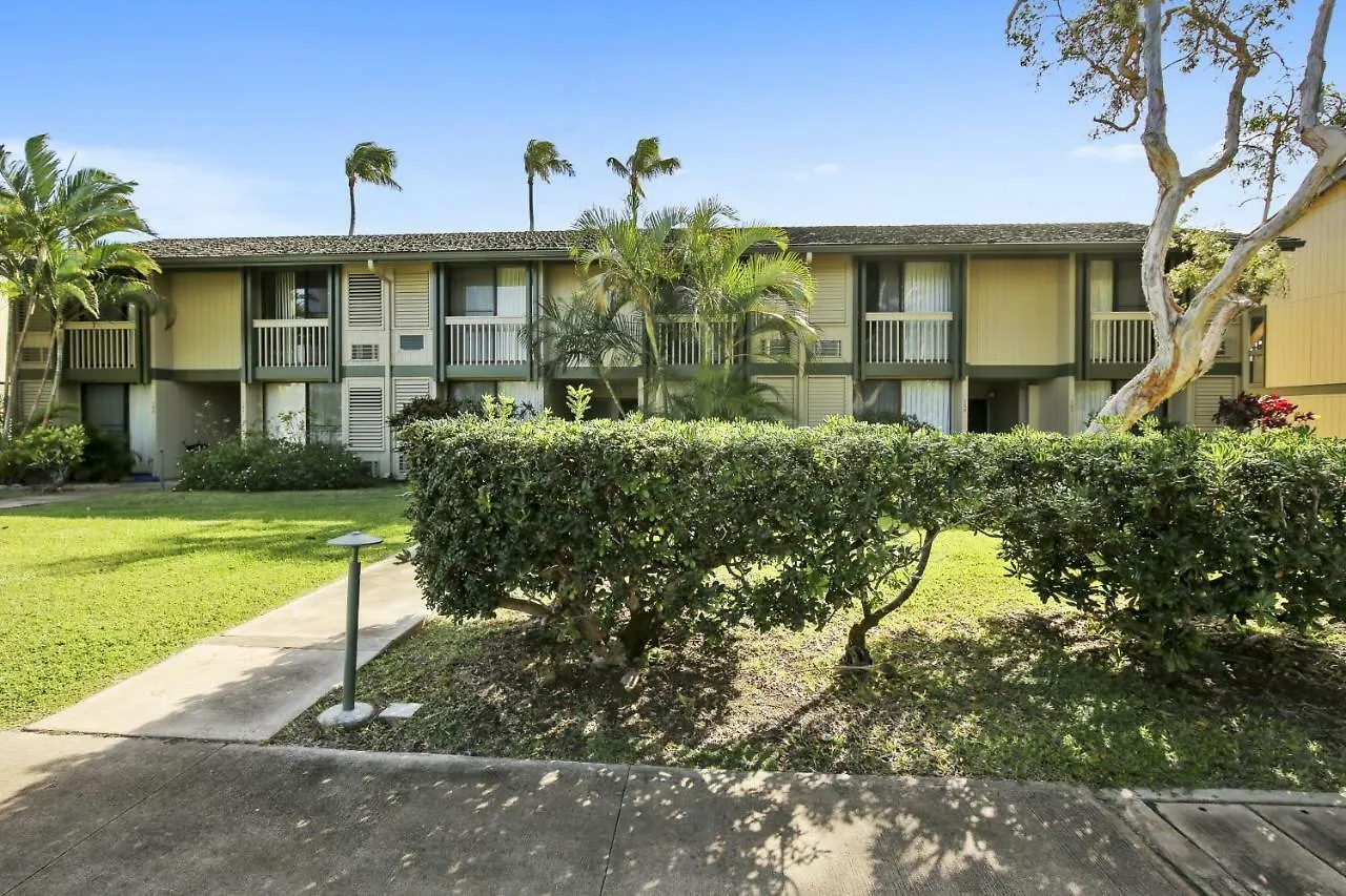 Anthurium Condo Kahuku 0*,